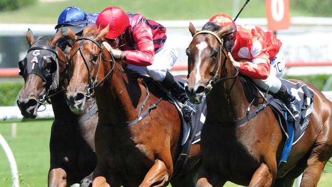 Perignon, right, is in good form but has drawn wide on Saturday. Picture: Simon Bullard