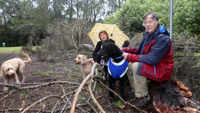 Off leash beach access for dogs in Pittwater Daily Telegraph