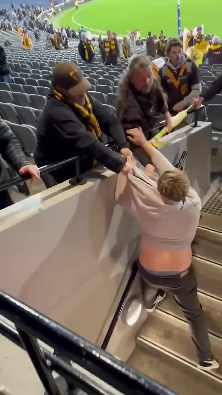 Fight breaks out at MCG during Hawks-Magpies game