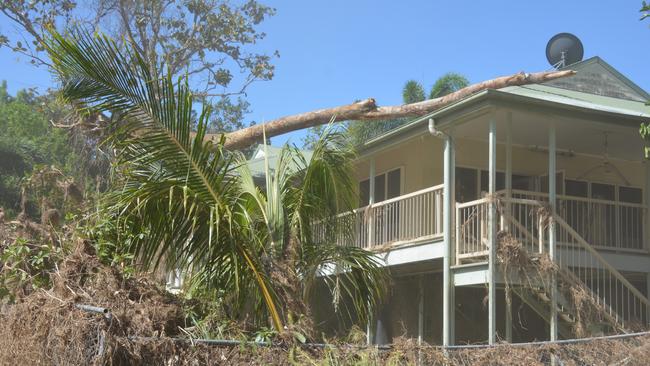 A large tree lays across the roof of a home at Wujal Wujal. Picture: Bronwyn Farr