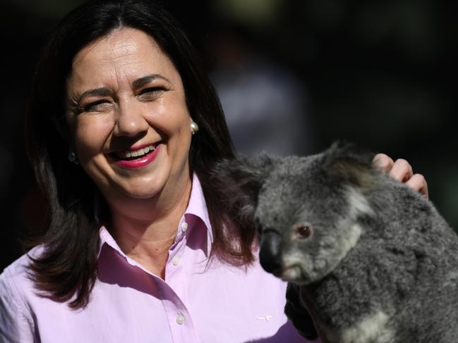 GOLD COAST, AUSTRALIA - NewsWire Photos - OCTOBER 29, 2020.Queensland Premier Annastacia Palaszczuk pats CJ the koala during a visit to Currumbin Wildlife Sanctuary on the Gold Coast, as she campaign ahead of the state election on October 31.Picture: NCA NewsWire / Dan Peled