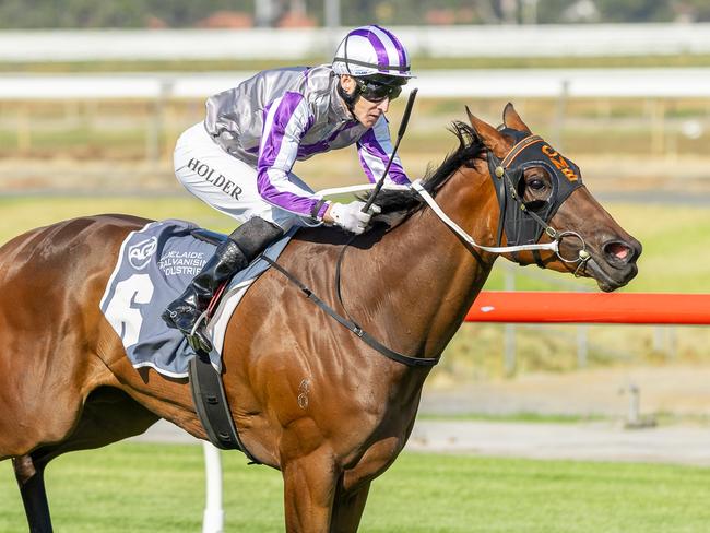 Overstrike scores at Morphettville Parks last start. Picture: Makoto Kaneko