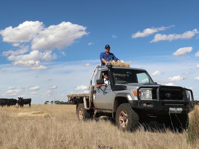 The UFU has warned the tax still hangs over the head of every Victorian farmer. Picture: Yuri Kouzmin