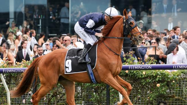 Serpentine is second-up at Flemington on Saturday. Picture: George Sal-Racing Photos via Getty Images