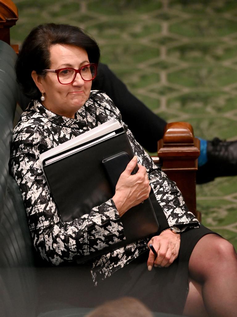 Deputy premier Vickie Chapman in Question Time Thursday. Picture: Naomi Jellicoe