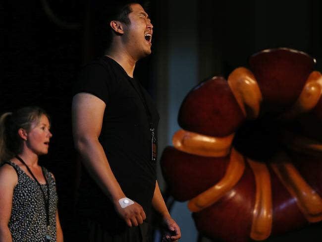 Tannery: Tasmanian Taiko and Leather Orchestra during rehearsals at Albert Hall, Launceston, as part of Mofo. PICTURE CHRIS KIDD