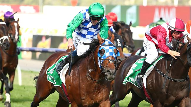 Fifty Stars will bypass the All-Star Mile for Group 1 races in Sydney. Picture: Getty Images