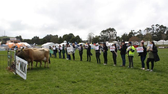 A protest at a Gippsland milking marathon.