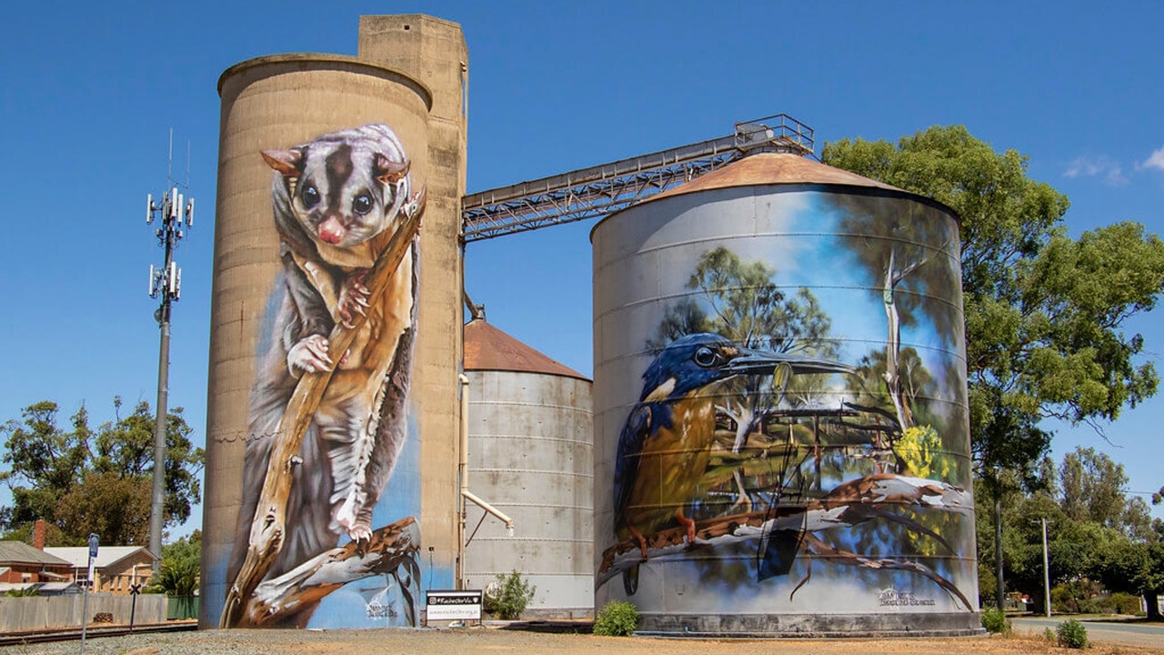 Rochester, en route to Echuca, has three nature-based silo art works by Jimmy Dvate. Picture: jimmydvate.com