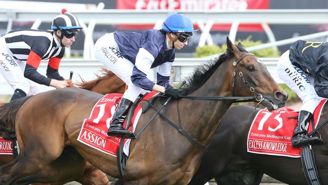 Katelyn Mallyon riding Assign in last year’s Melbourne Cup. Picture: Wayne Ludbey