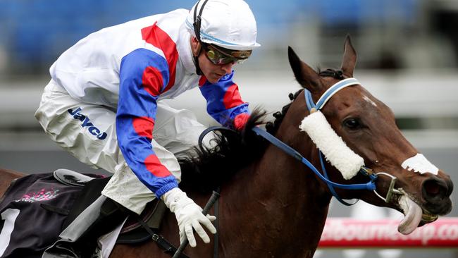 Mosheen won the 2012 Blazer Stakes at Flemington.