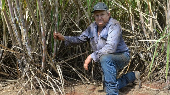 Bundaberg cane farmer and Canegrowers chair Mark Pressler.