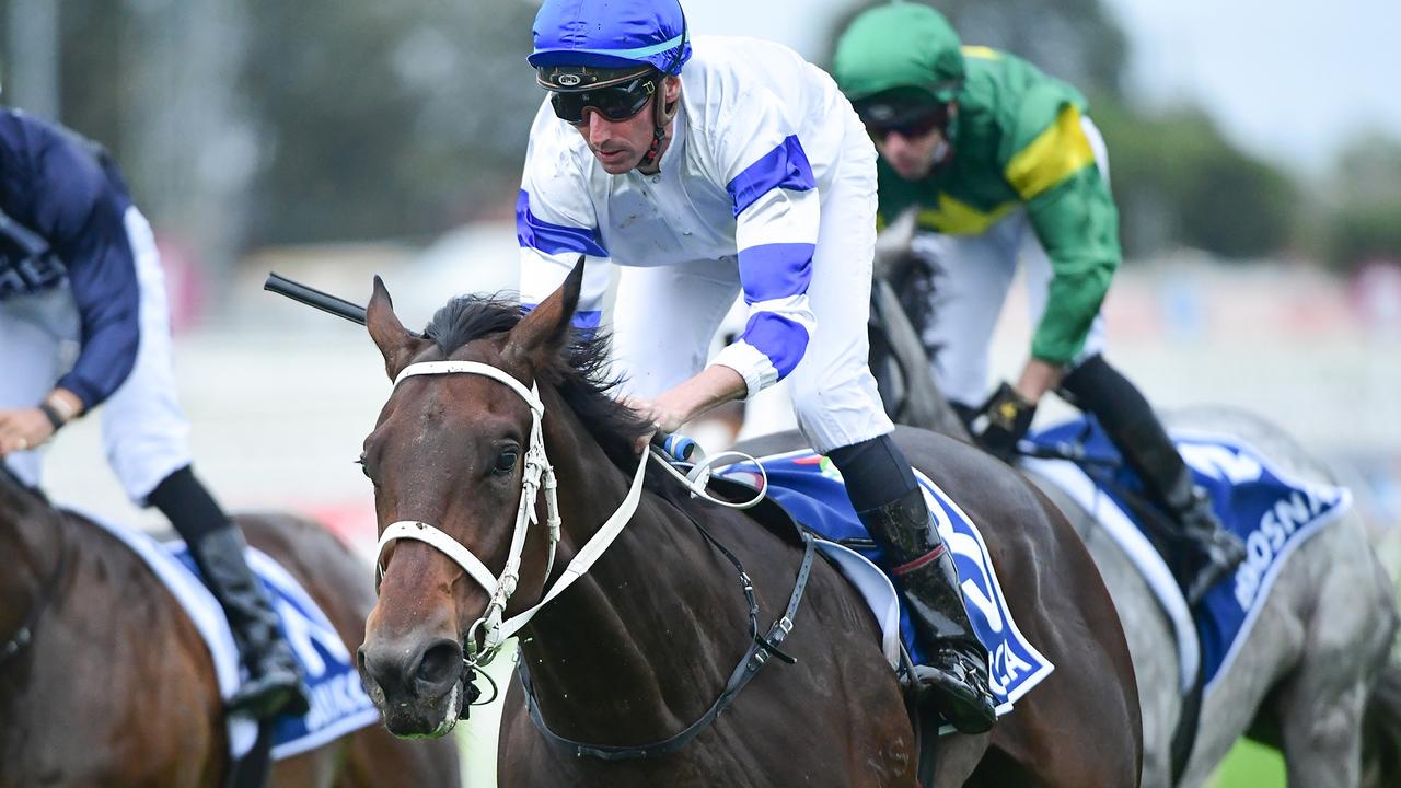 Saturday late mail, tips, analysis for Doomben Cup Day | Gold Coast ...