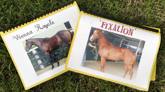 Cindy has made scrapbooks for each of the horses and both Vienna Royale and Fixation have their own Facebook pages.