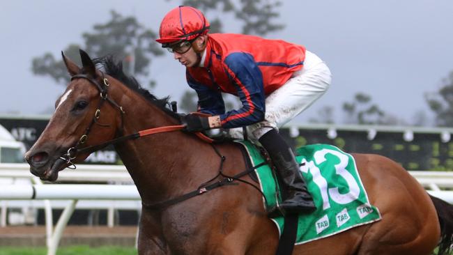 Miss Einstein looks a good each-way chance in the first race at Rosehill on Saturday. Picture: Grant Guy