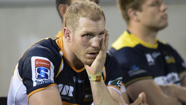 Brumbies star David Pocock watches on at GIO Stadium in Canberra.