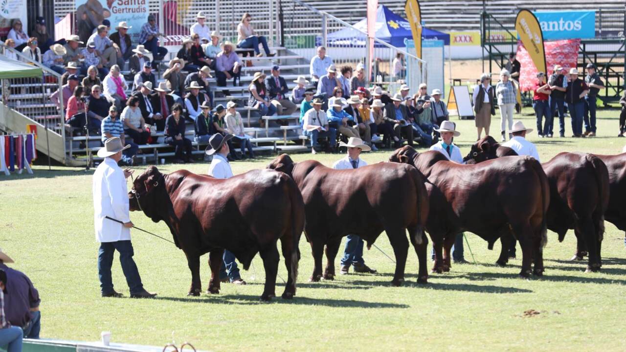 The Ekka cancelled due to Queensland lockdown extension (2021)