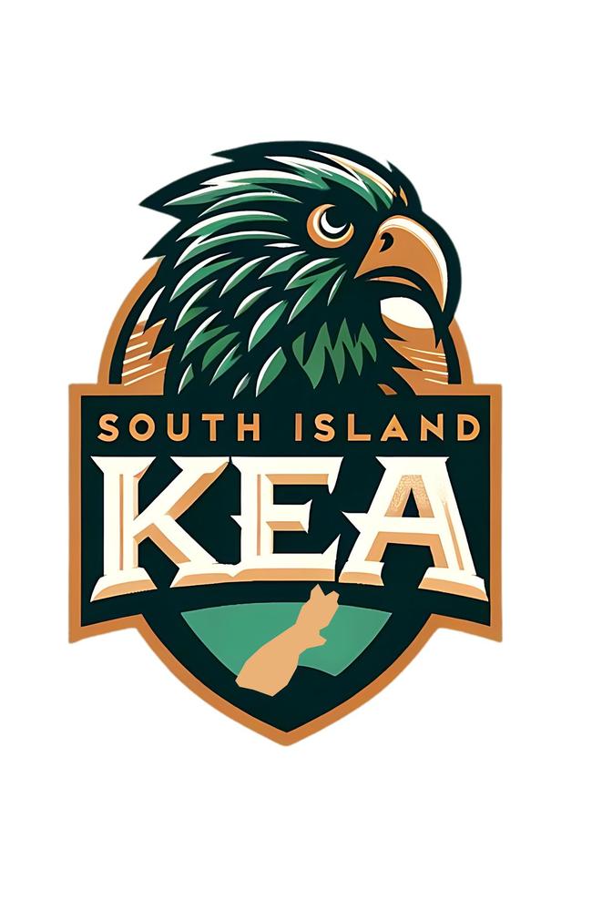 The South Island expansion bid logo.