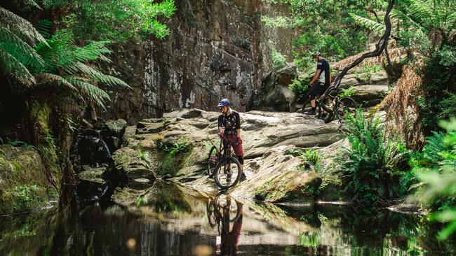 Blue Derby Mountain Bike trails. Picture: Stu Gibson/Tourism Tasmania