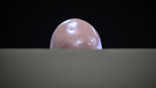 Going, going, gone... Peter Dutton votes at Albany Creek State School last Saturday. Picture: Dan Peled/Getty Images