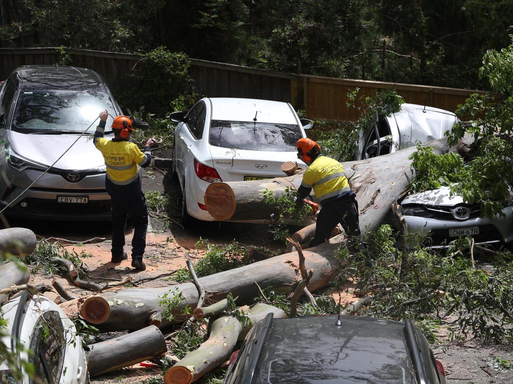 A storm has ripped through the north shore damaging trees &amp; cars here in Dumaresq st Gordon the damage is evident. Picture: John Grainger