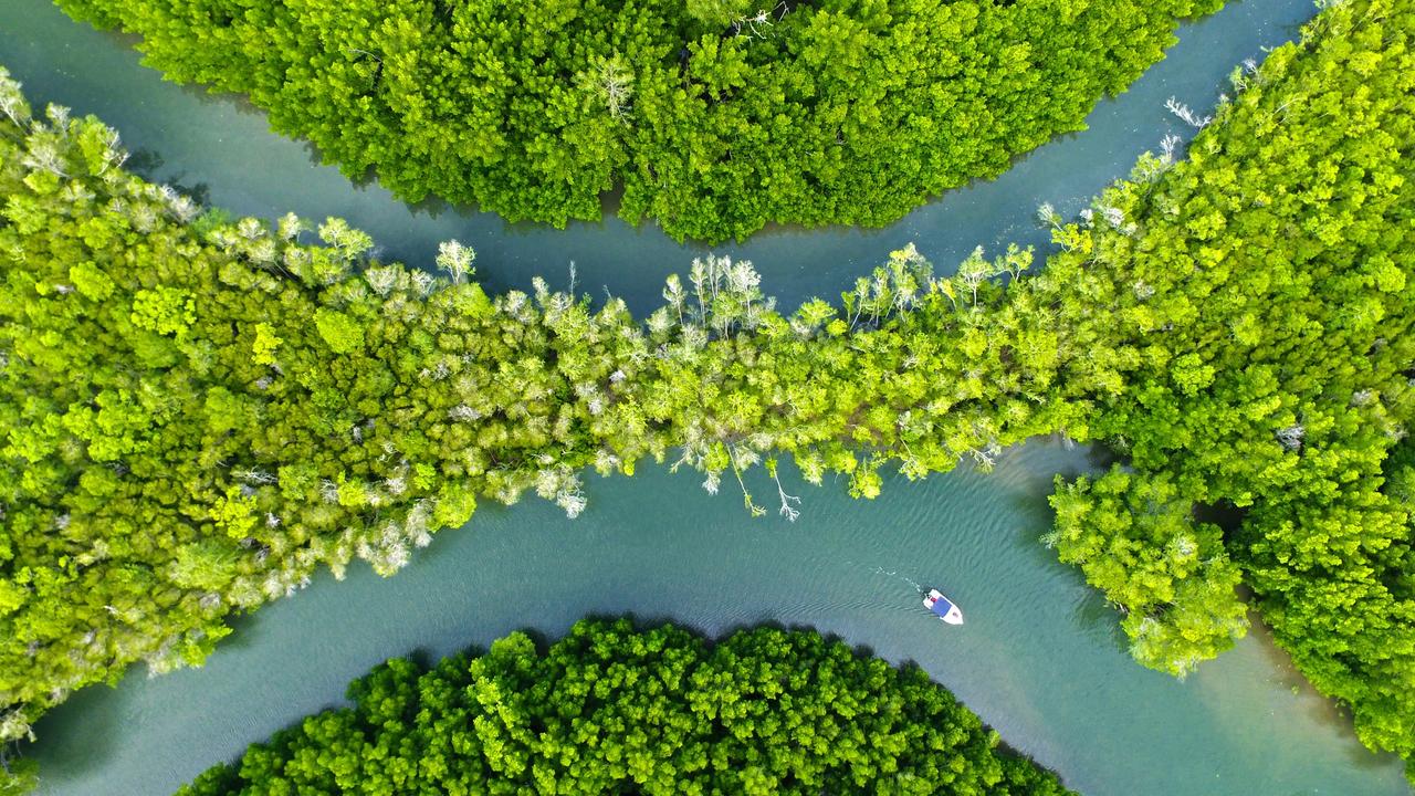 A Sharks And Rays Australia research vessel pictured at the Skardon River about 700km northeast of Cairns. Picture: SARA/Johnny Gaskell.