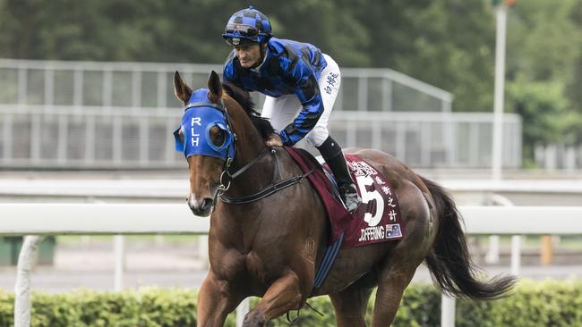 Buffering was crowned Queensland Horse of the Year on Saturday night.