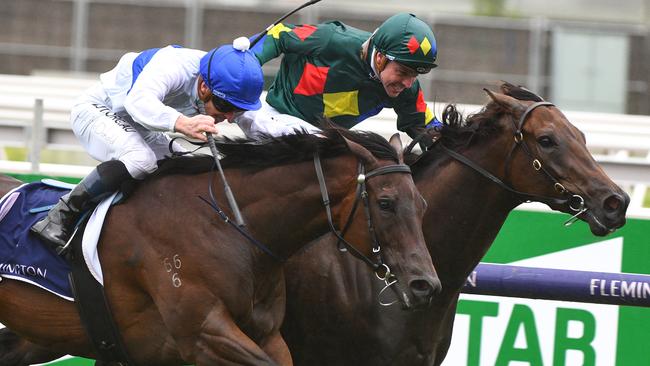 Catalyst and Alligator Blood will clash again in the Australian Guineas. Picture: AAP