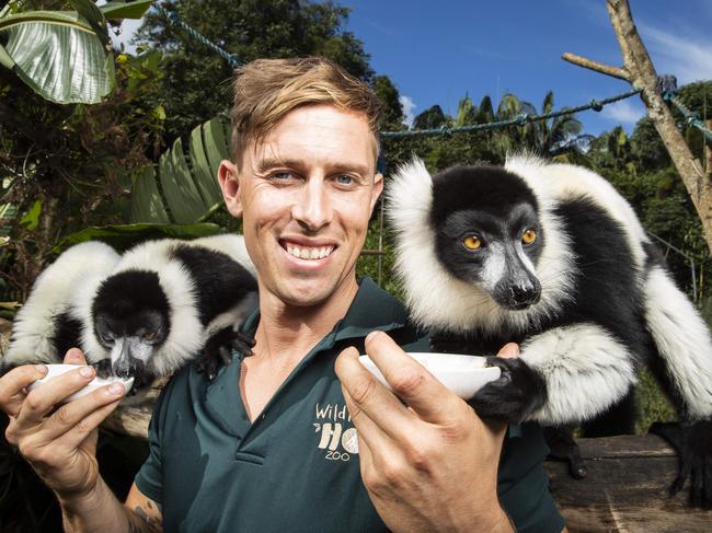 Wildlife HQ head zookeeper Jarad Schenk feeds the black and white ruffed lemurs at the Sunshine Coast park. Picture: Lachie Millard