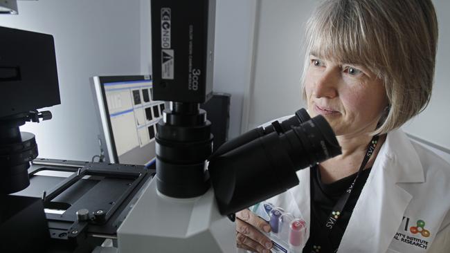 Professor Louise Purton’s study brought to light some disturbing statistics.