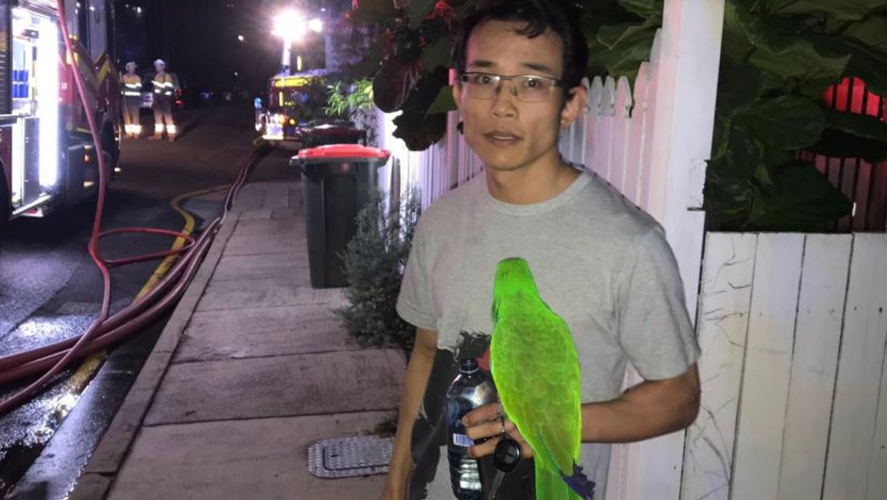 Anton Nyugen says his squawking pet parrot Eric saved his life when his Kangaroo Point home when up in flames. Picture: Sunrise