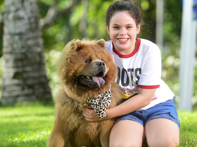 Two-year old Bear is a Chow Chow and has made Queensland's Top Dogs list as part of the Dogs of Oz promotion. He is pictured with Eddie Bailey. PICTURE: MATT TAYLOR.