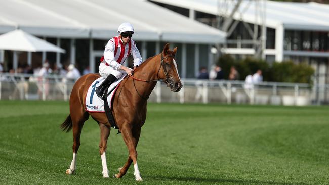 The Everest winner from 2022, Giga Kick Picture: Getty Images