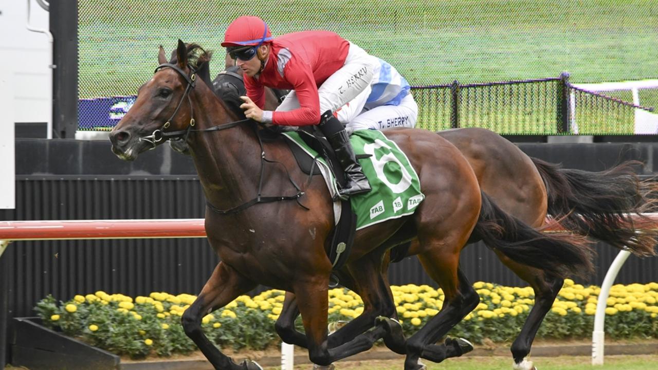 Warwick Farm preview: Wembanyama to rebound