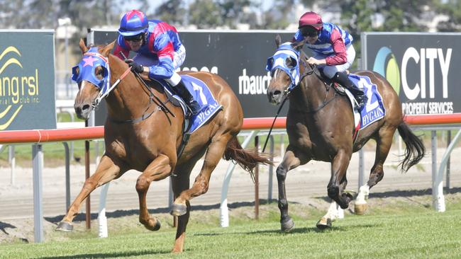 Daniel Griffin rides the David Kelly-trained Star of Night to victory. Photo: JESSICA HAWKINS/TRACKSIDE PHOTOGRAPHY