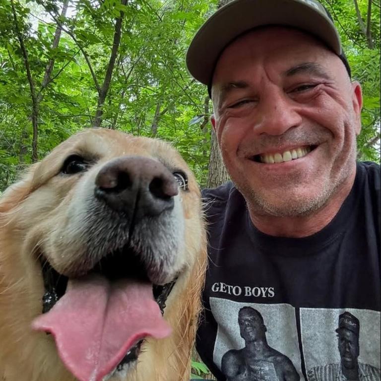 He tends to focus his Instagram account on his podcast, but he will occasionally share photos of himself and his dog enjoying the local scene. Picture: Instagram/Joe Rogan