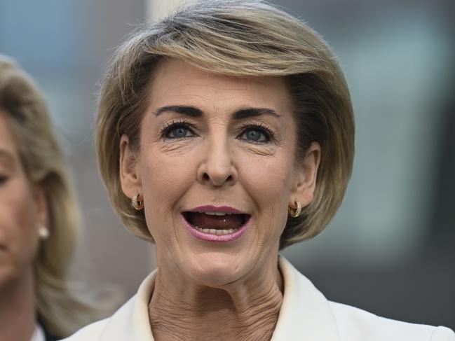 Senator Michaelia Cash. Picture: NCA NewsWire/Martin Ollman