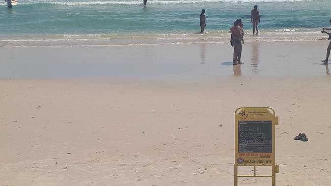 Beachgoers were still happy to swim at Main Beach, Byron Bay, just hours after a man was bitten by a shark. 