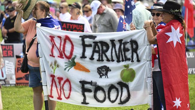 The National Rally Against Reckless Renewables took place outside Parliament House. Picture: NCA NewsWire / Martin Ollman