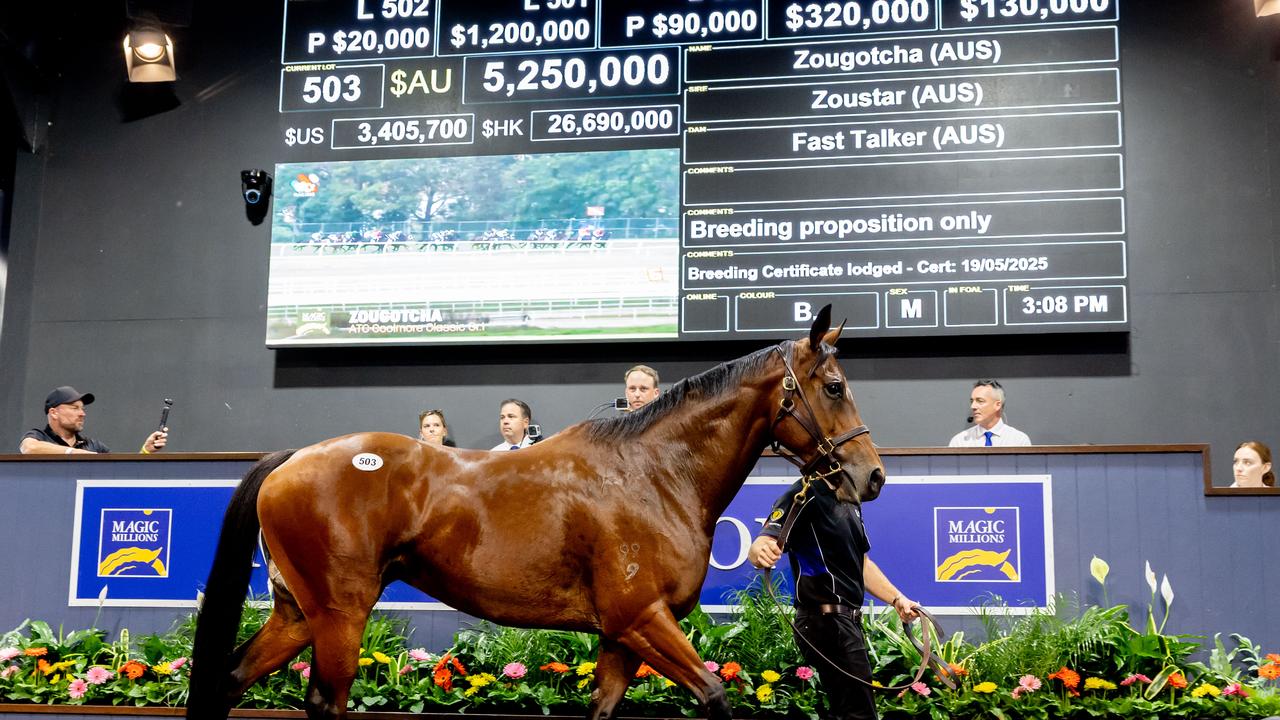 Lot 703 Zougotcha sold for $5.25m to Tom Magnier at the Magic Millions sales. Picture: Luke Marsden