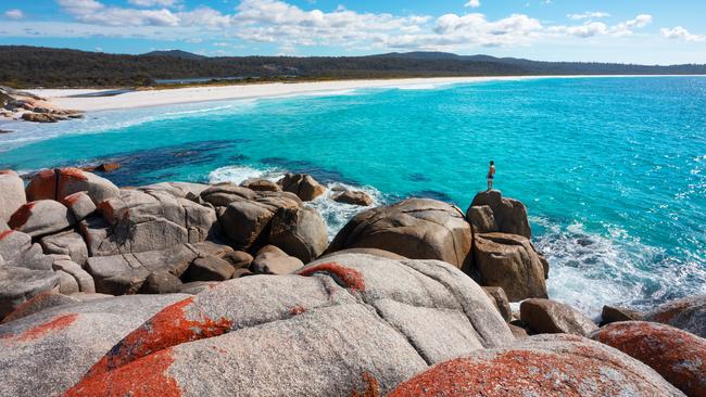 The Bay of Fires is known for its bright red rock contrasted with stunning blue water. Picture: Tourism Australia