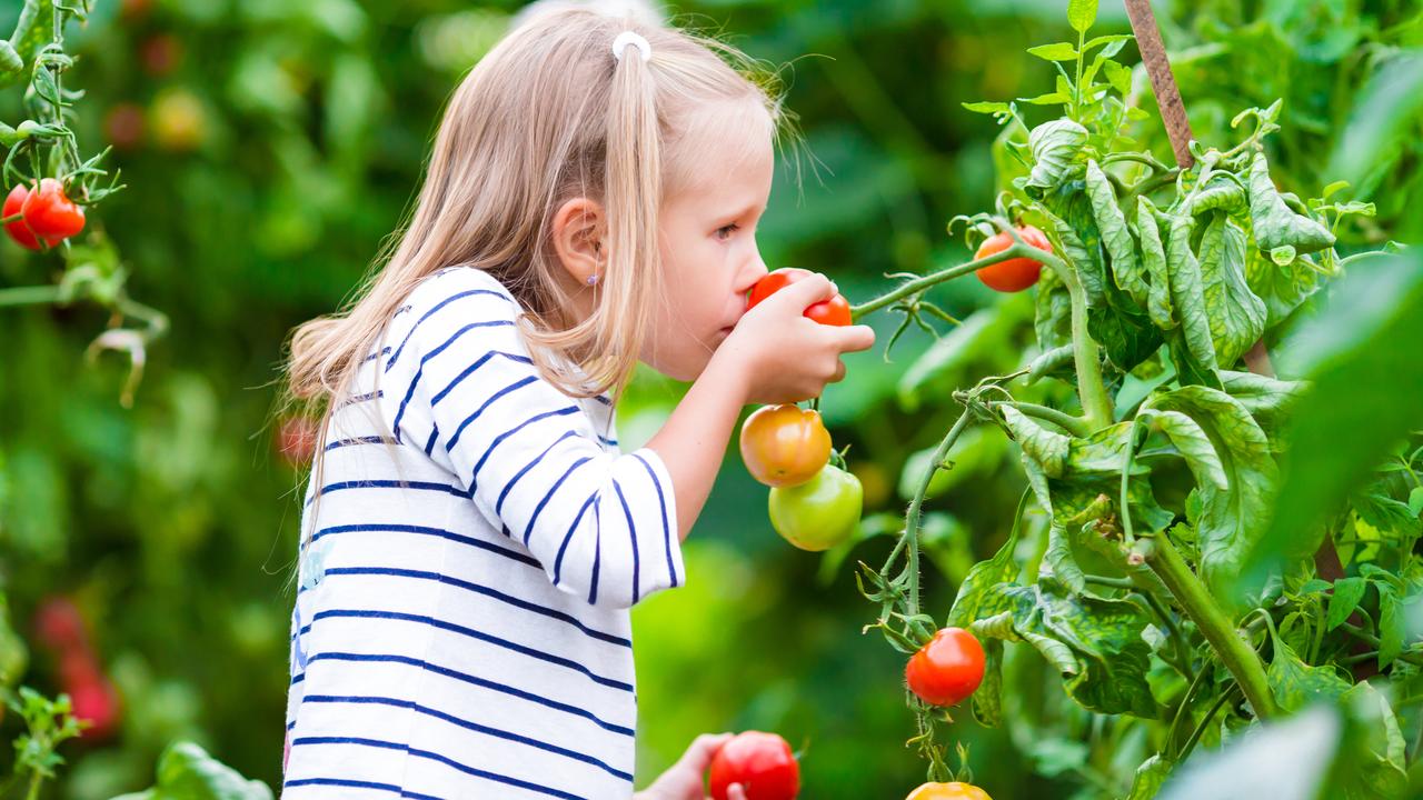 Choosing food that is in season or even growing your own can reduce your climate impact by reducing the distance your food has to travel to reach your plate. Picture: iStock