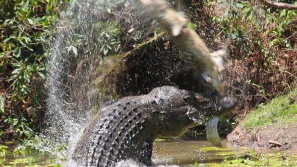 Quinkan Hotel publican Kevin Darmody added this dramatic photo to his Facebook page, which showed him as a keen angler, in 2015. Picture: Supplied