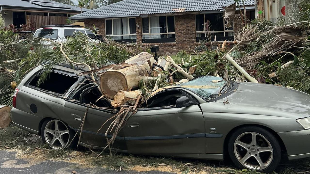 Trees down, 36k without power, as Alfred’s impact grows