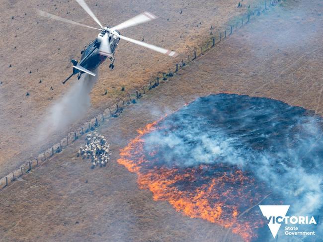 Bushfires in East Gippsland. Picture: DELWP