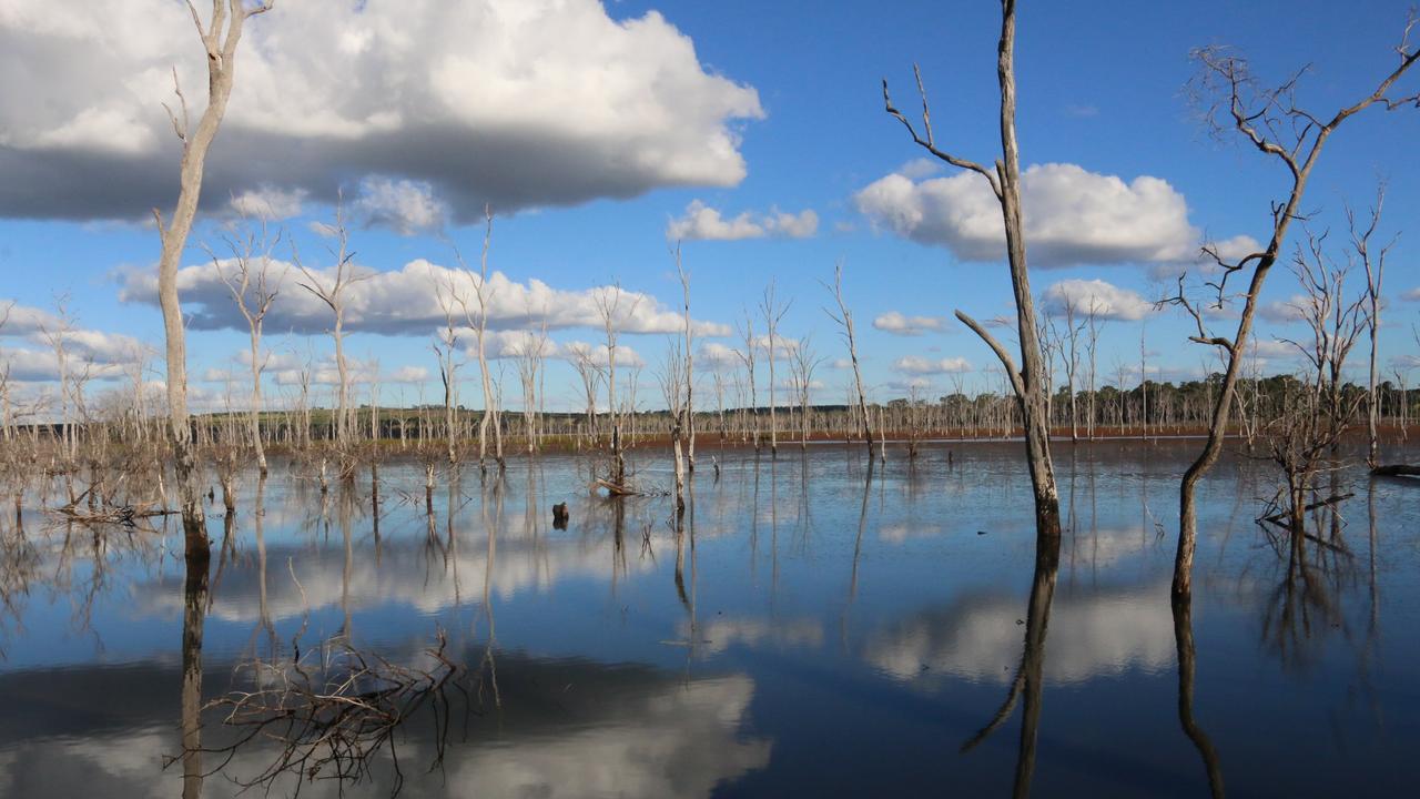 Wooroolin Wetland, South Burnett, is full of spectacular sights.