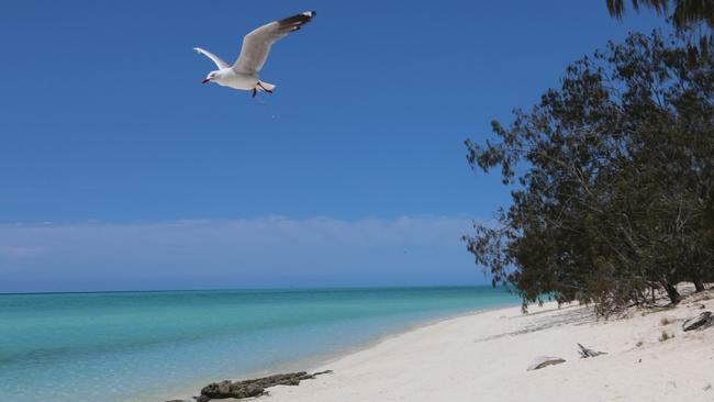 Heron Island, part of the southern Great Barrier Reef. Picture: Janelle Miles