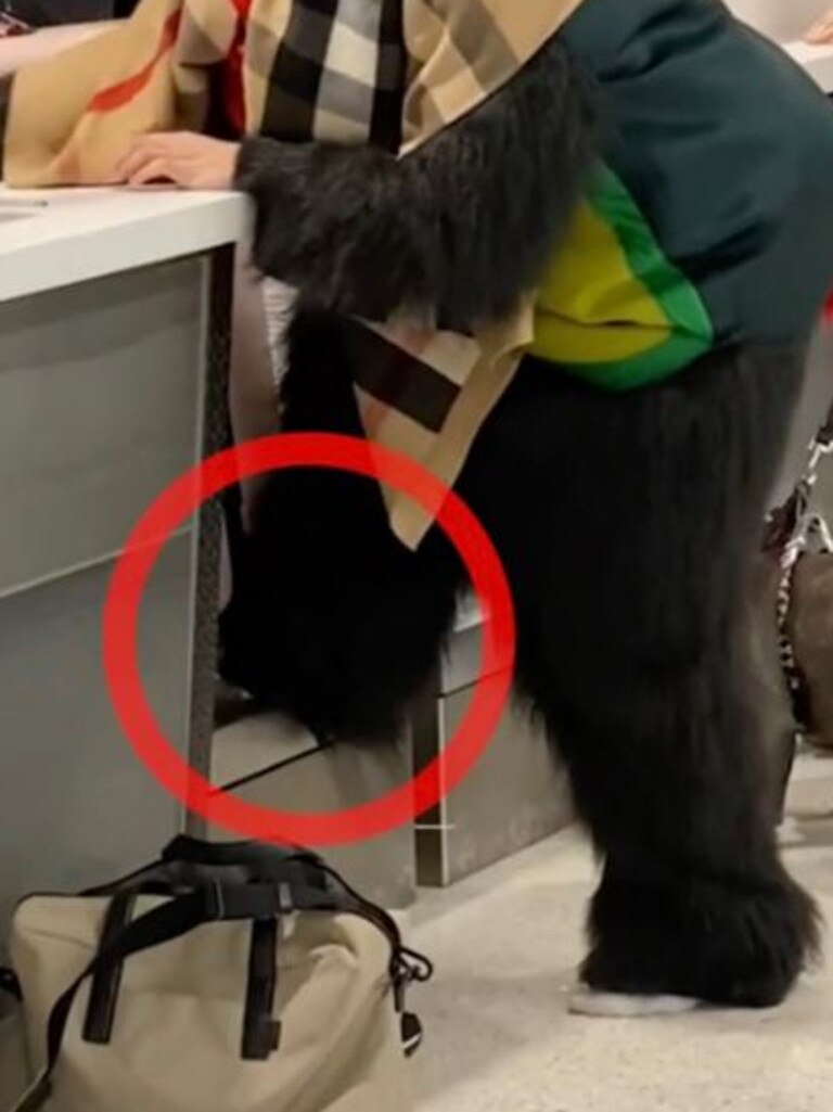 Many TikTok commenters believed that the suitcase was empty the whole time.