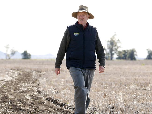 NSW Farmers Association president and Mullaley grain farmer Xavier Martin. Picture: Tim Hunter