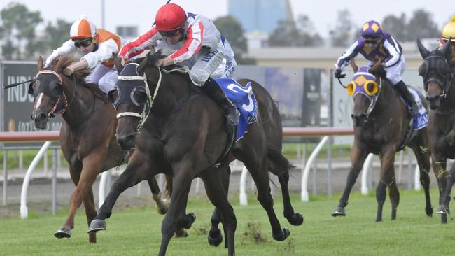 Donot Say Anything on his way to winning the Snippets Memorial Maiden Plate (1400m) at the Gold Coast on January 21, 2017. Photo: Jessica Hawkins/Trackside Photography.